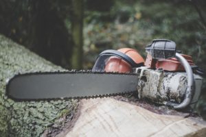 wood chainsaw